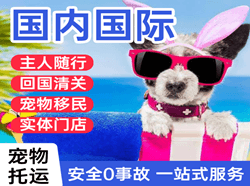 牡丹江海浪机场托运国际宠物托运 【国